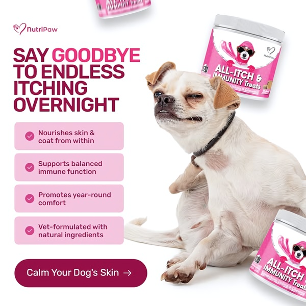 This 1:1 square ad uses a high-contrast hero image and a punchy, benefit-first headline to address a common pet pain point.